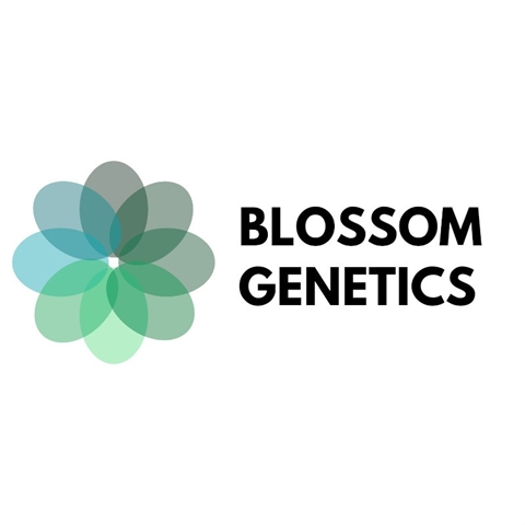 BLOSSOM GENETICS BLOSSOM GENETICS